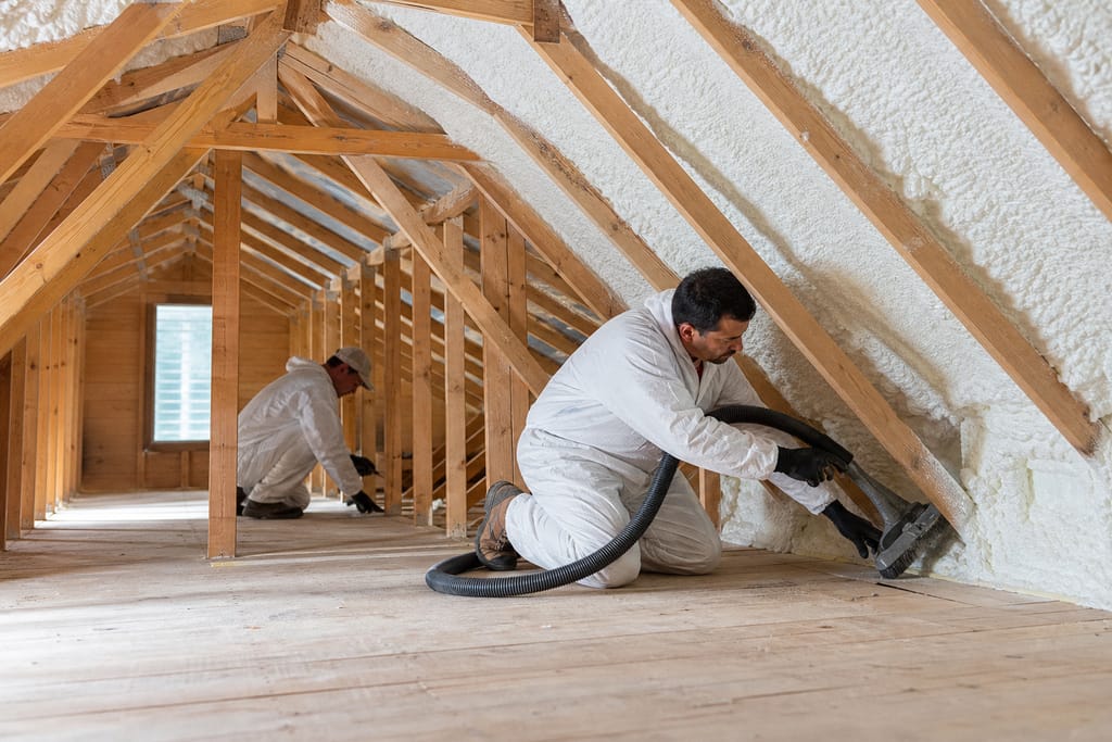 Attic Cleanup photo